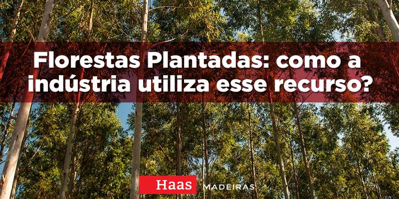 HAAS-Florestas-plantadas-industria-utiliza