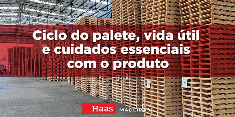 Ciclo do palete, vida útil e cuidados essenciais com o produto - Haas  Madeiras